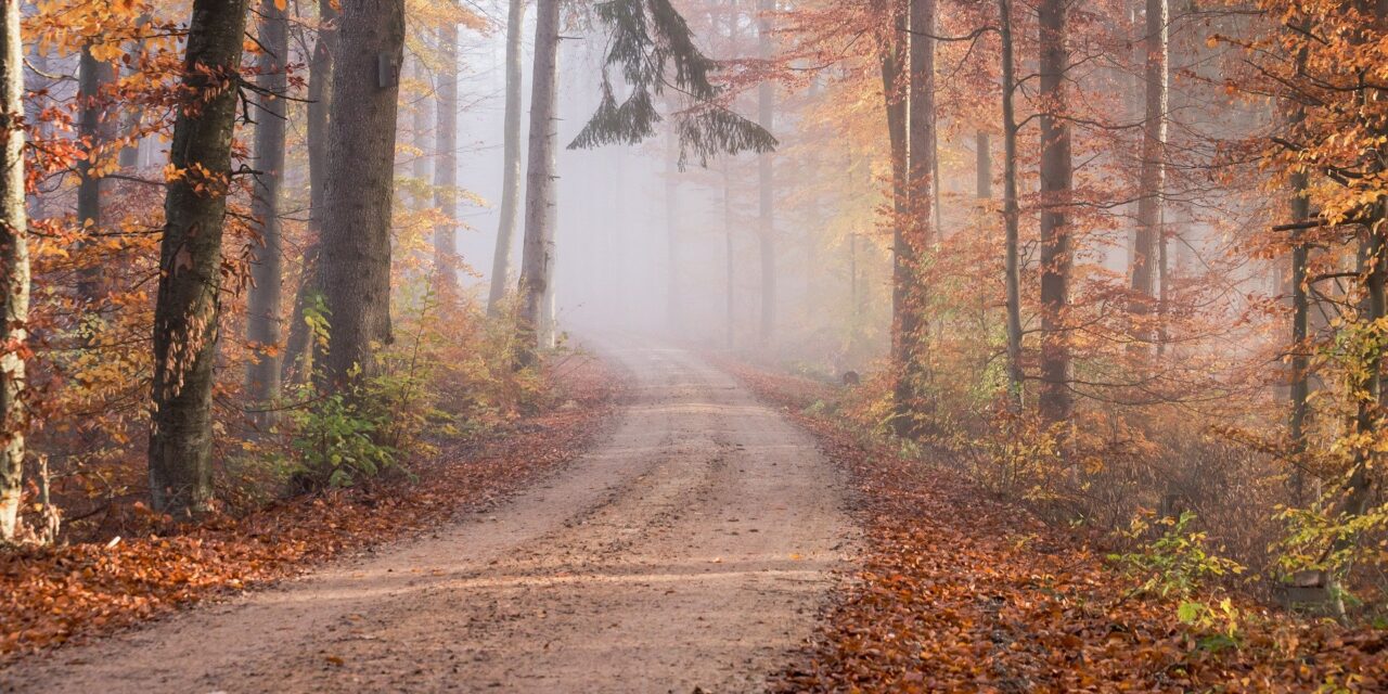 My Inner Child’s View on Step 7, Step 8, & 9 by