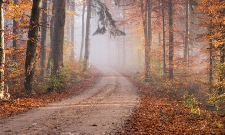 My Inner Child’s View on Step 7, Step 8, & 9 by